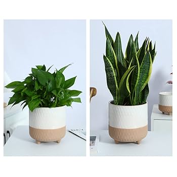 北欧   鉢 鉢カバー おしゃれ ラウンド アンティーク セメント 北欧